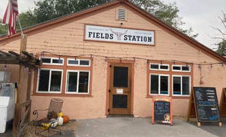 Camping near Alvord Desert: The Fields Station, Denio, Oregon