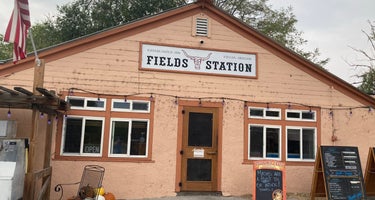 The Fields Station