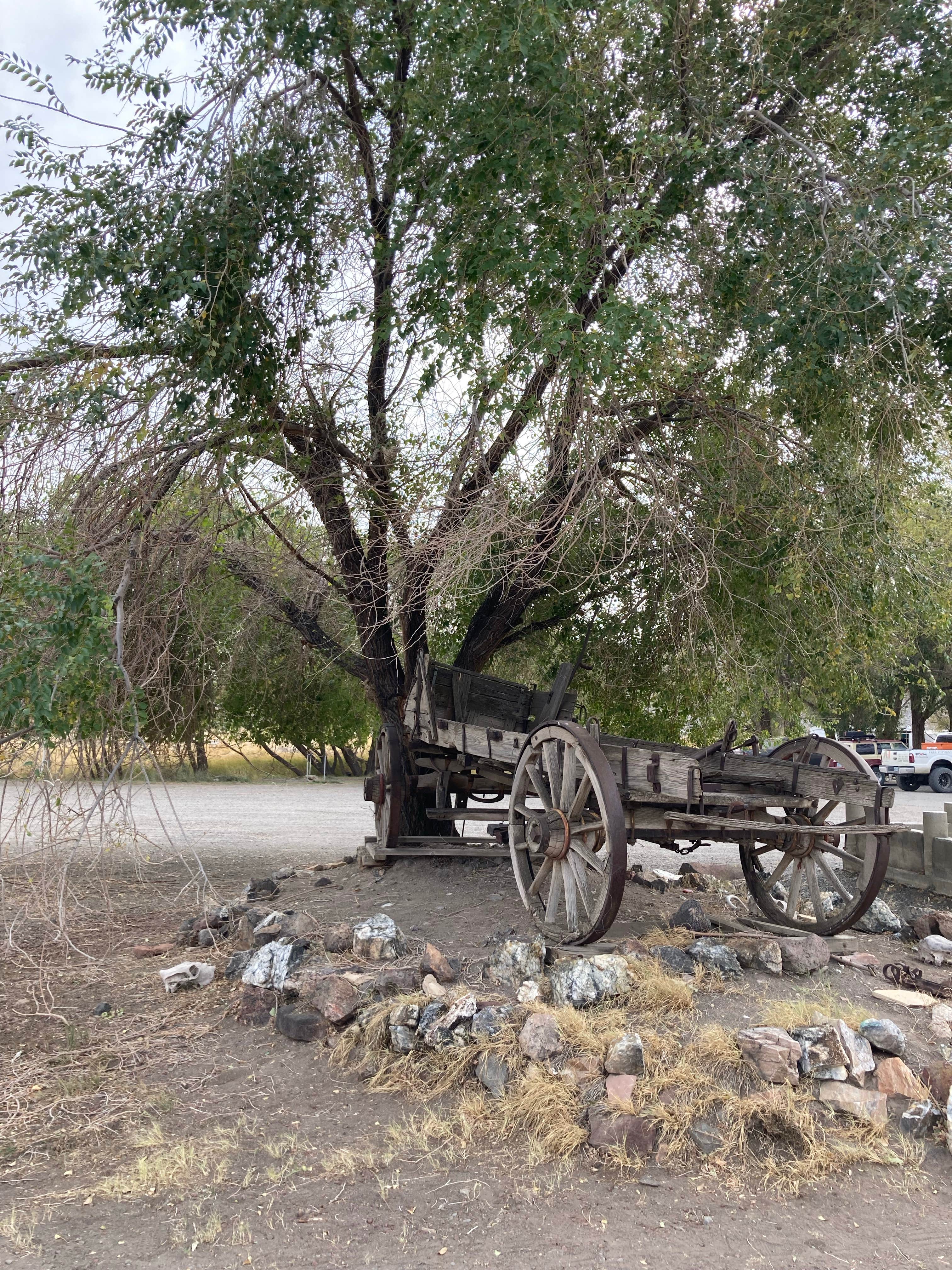 Camper-submitted photo at The Fields Station near Denio, NV