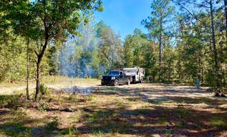 Camping near Gilchrist Blue Springs State Park Campground: Woodsy Spring Haven, Bell, Florida
