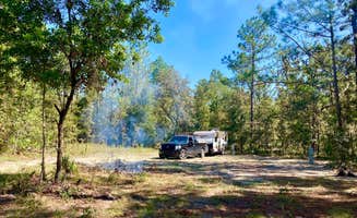 Megan's photo at Woodsy Spring Haven near Archer, FL