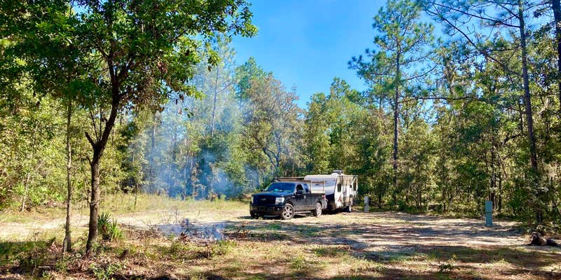 Camper submitted image from Woodsy Spring Haven