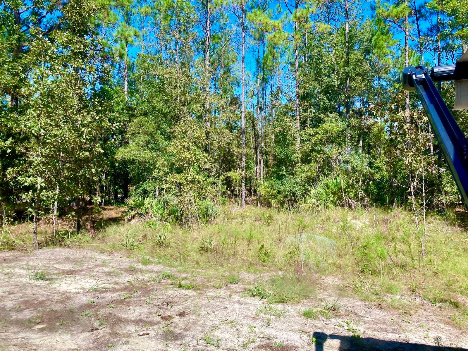 Camper-submitted photo at Woodsy Spring Haven near Fort White, FL