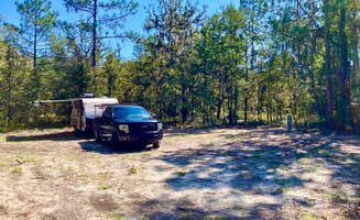 Megan's photo of rv camping at Woodsy Spring Haven near Chiefland, FL