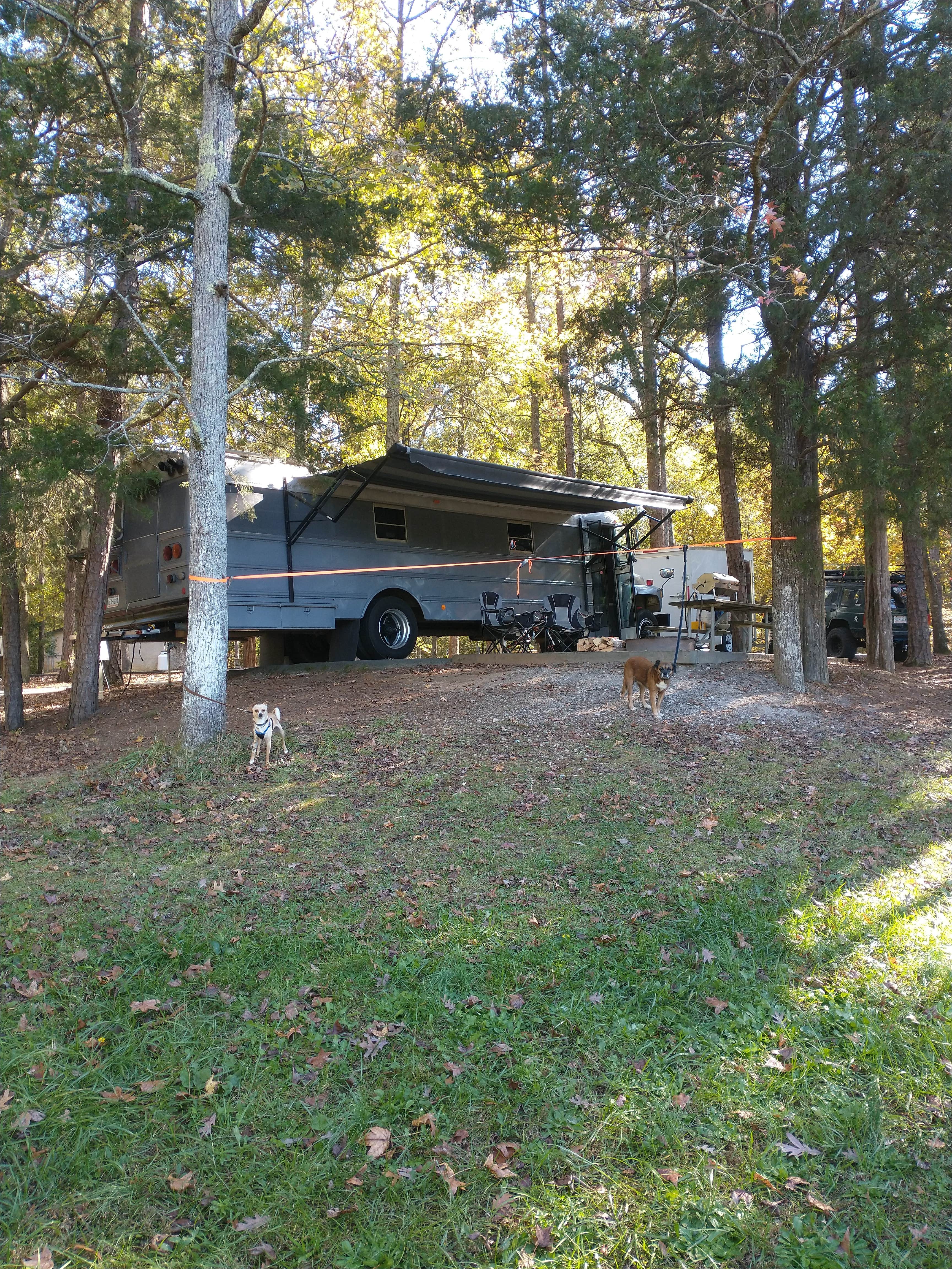 Camper-submitted photo at Andrew Jackson State Park Campground near Indian Trail, NC
