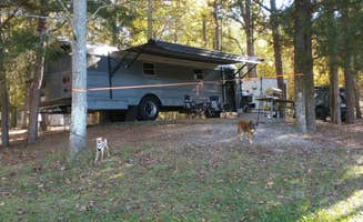 Aubrey O.'s photo at Andrew Jackson State Park Campground near Great Falls, SC