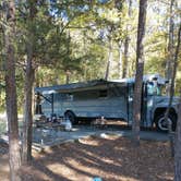 Review photo of Andrew Jackson State Park Campground by Aubrey O., November 1, 2021