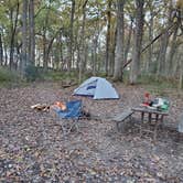 Review photo of MacQueen Forest Preserve by Nick C., November 5, 2021