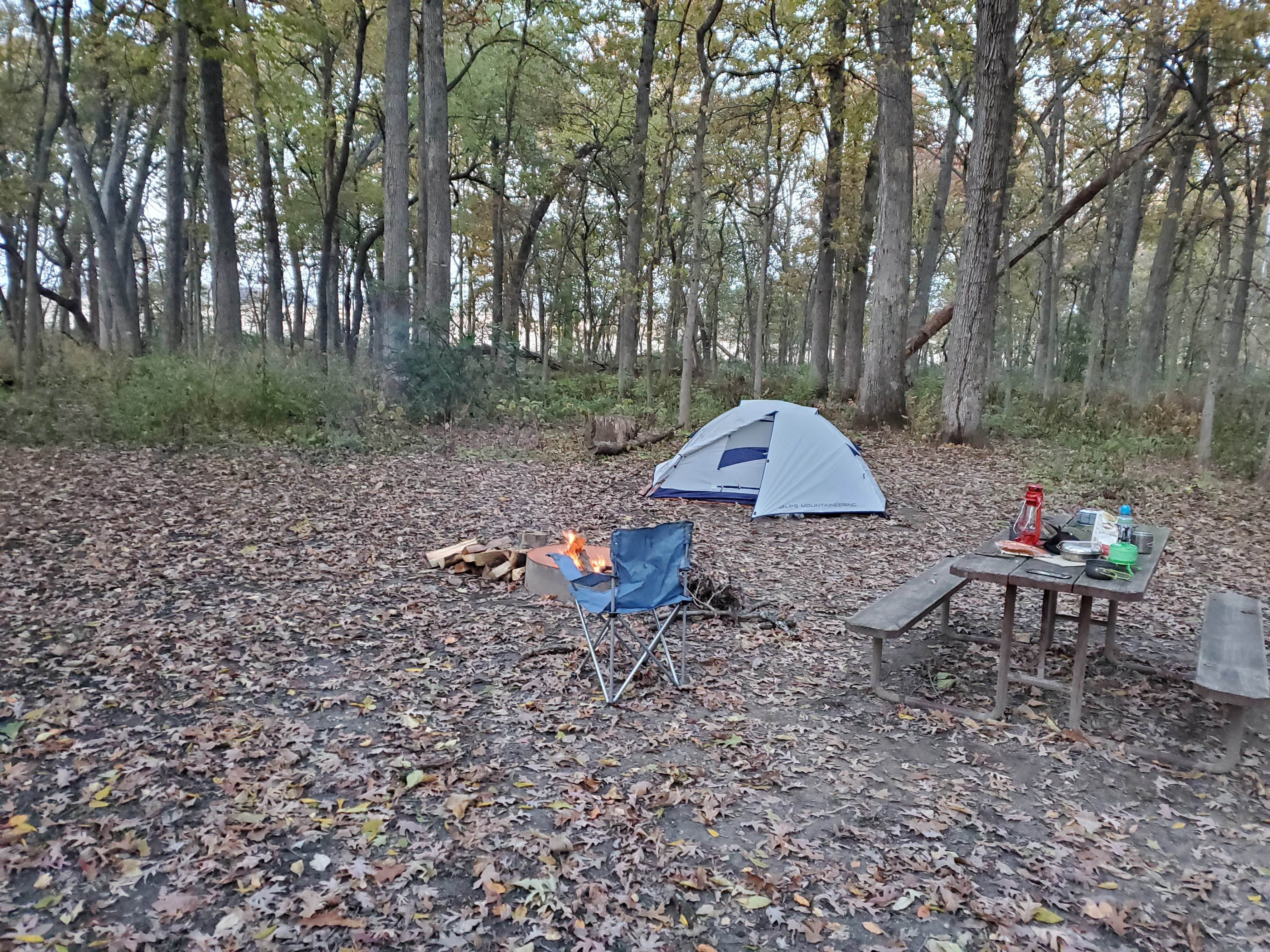 Camper submitted image from MacQueen Forest Preserve - 4