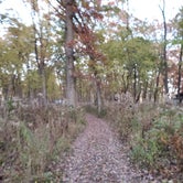 Review photo of MacQueen Forest Preserve by Nick C., November 5, 2021