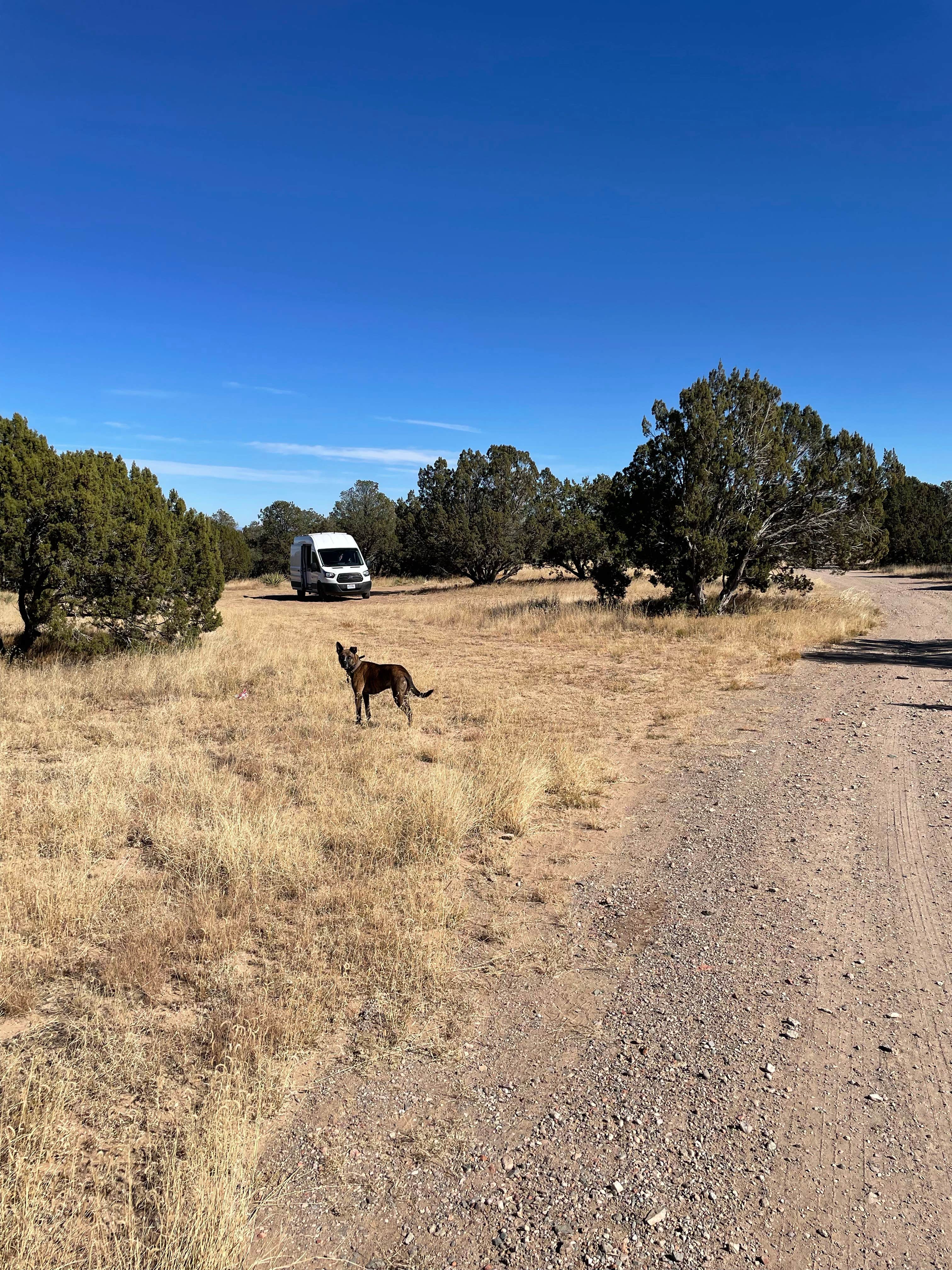 Camper submitted image from Torrance County Park Primitive Camping - 2