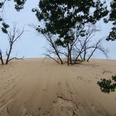 Review photo of Dunewood Campground — Indiana Dunes National Park by Tori K., November 6, 2021