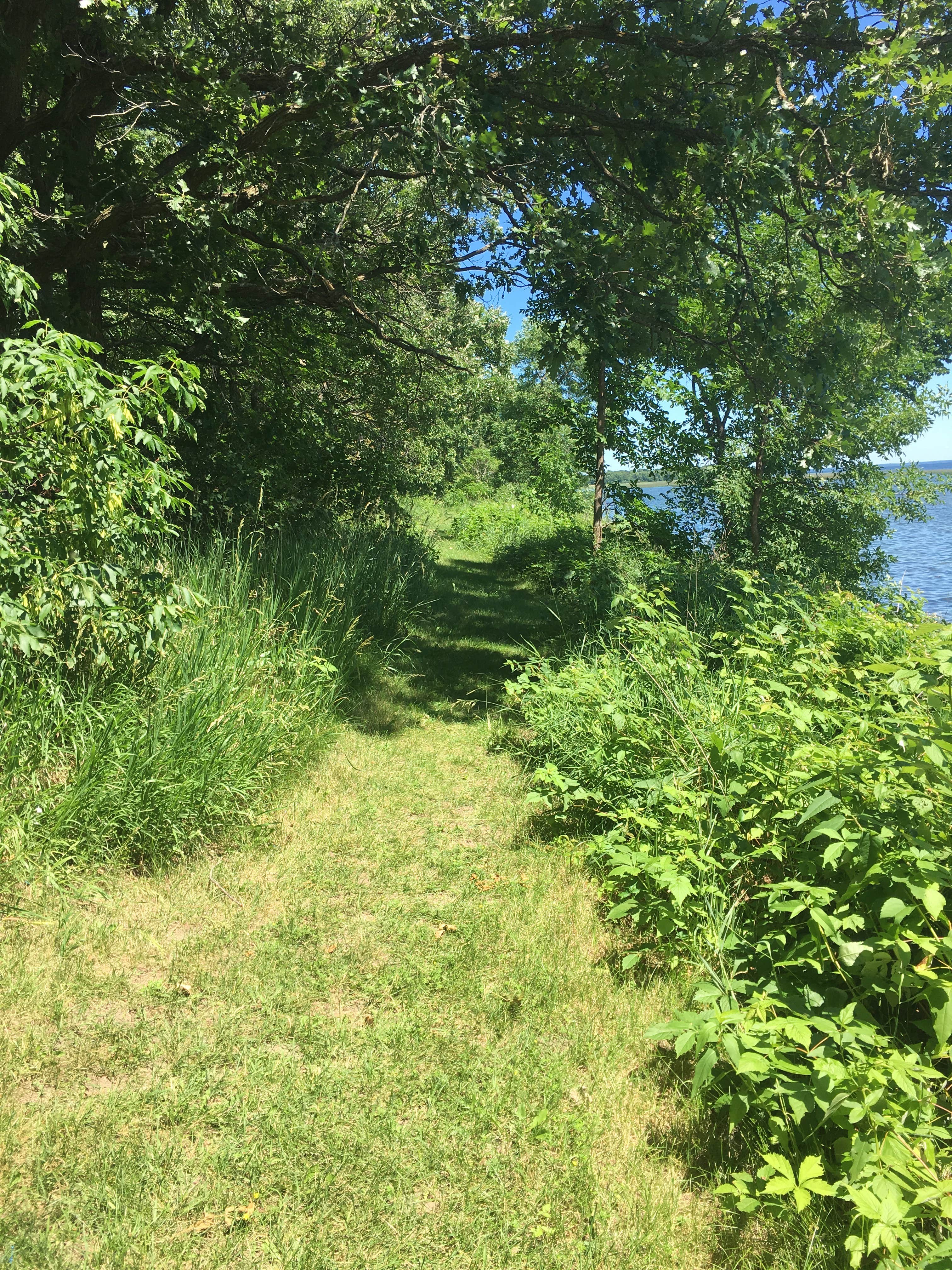 Camper-submitted photo at Winnie Campground near Chippewa National Forest