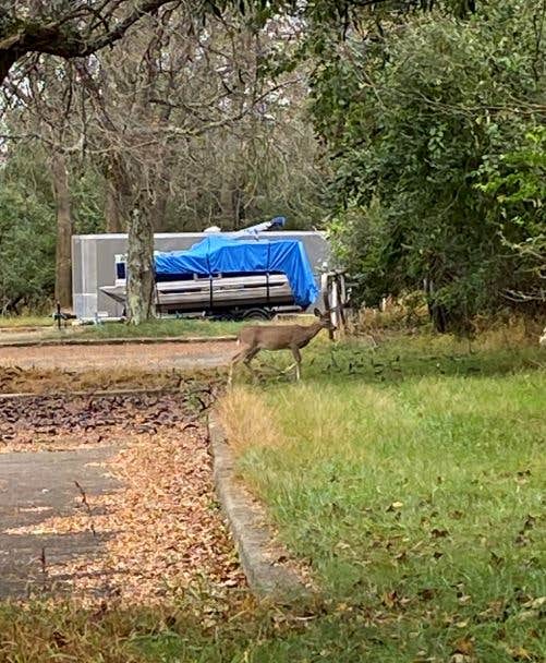 W L.'s photo at Spruce Run Recreation Area near Millington, NJ
