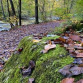 Review photo of Spruce Run Recreation Area by W L., November 6, 2021