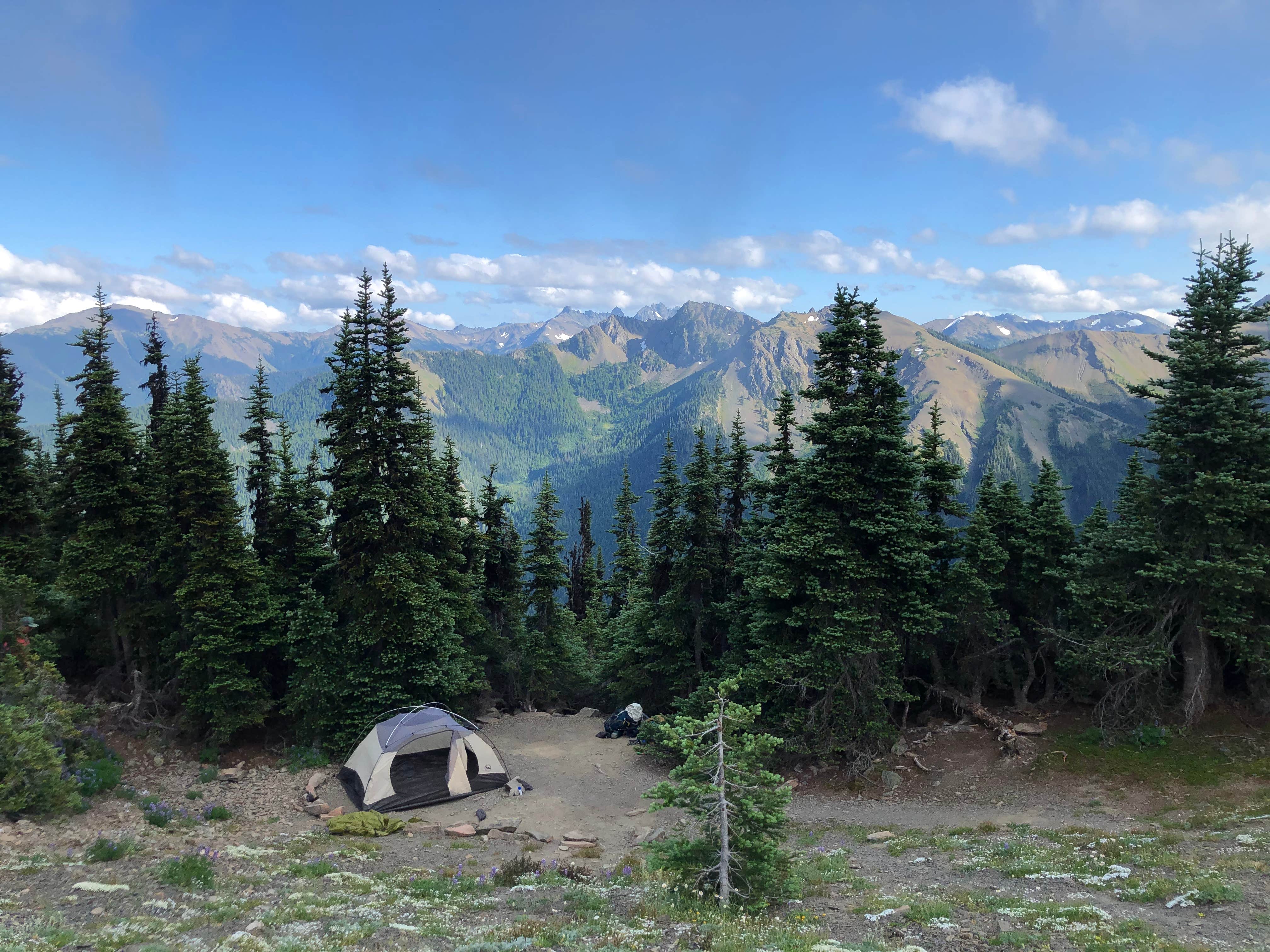 Jess H.'s photo at Roaring Winds near Sequim, WA