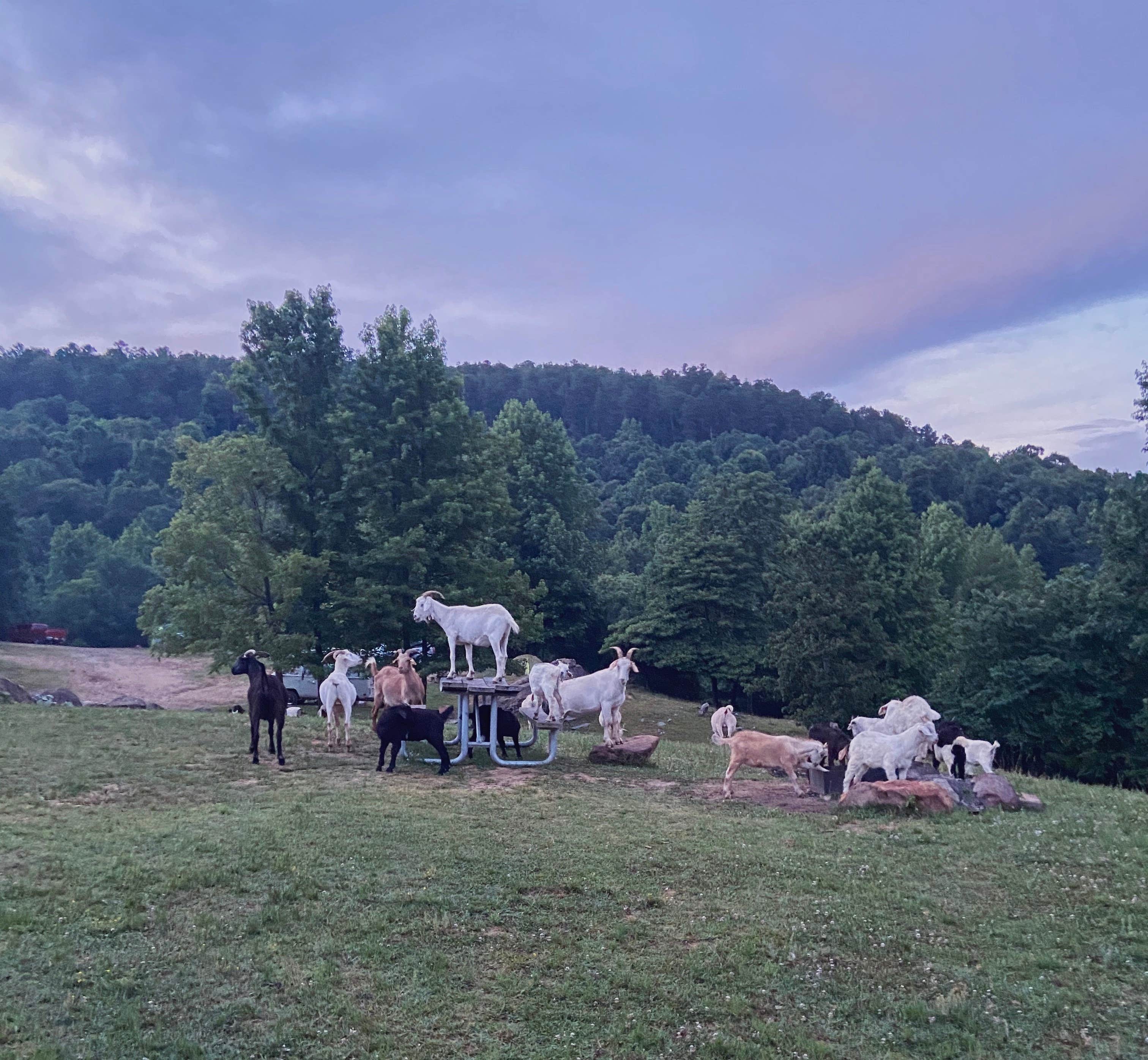 Camper-submitted photo at Horseshoe Canyon Ranch near Rockaway Beach, MO