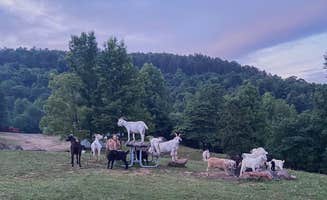 Drea R.'s photo at Horseshoe Canyon Ranch near Witter, AR