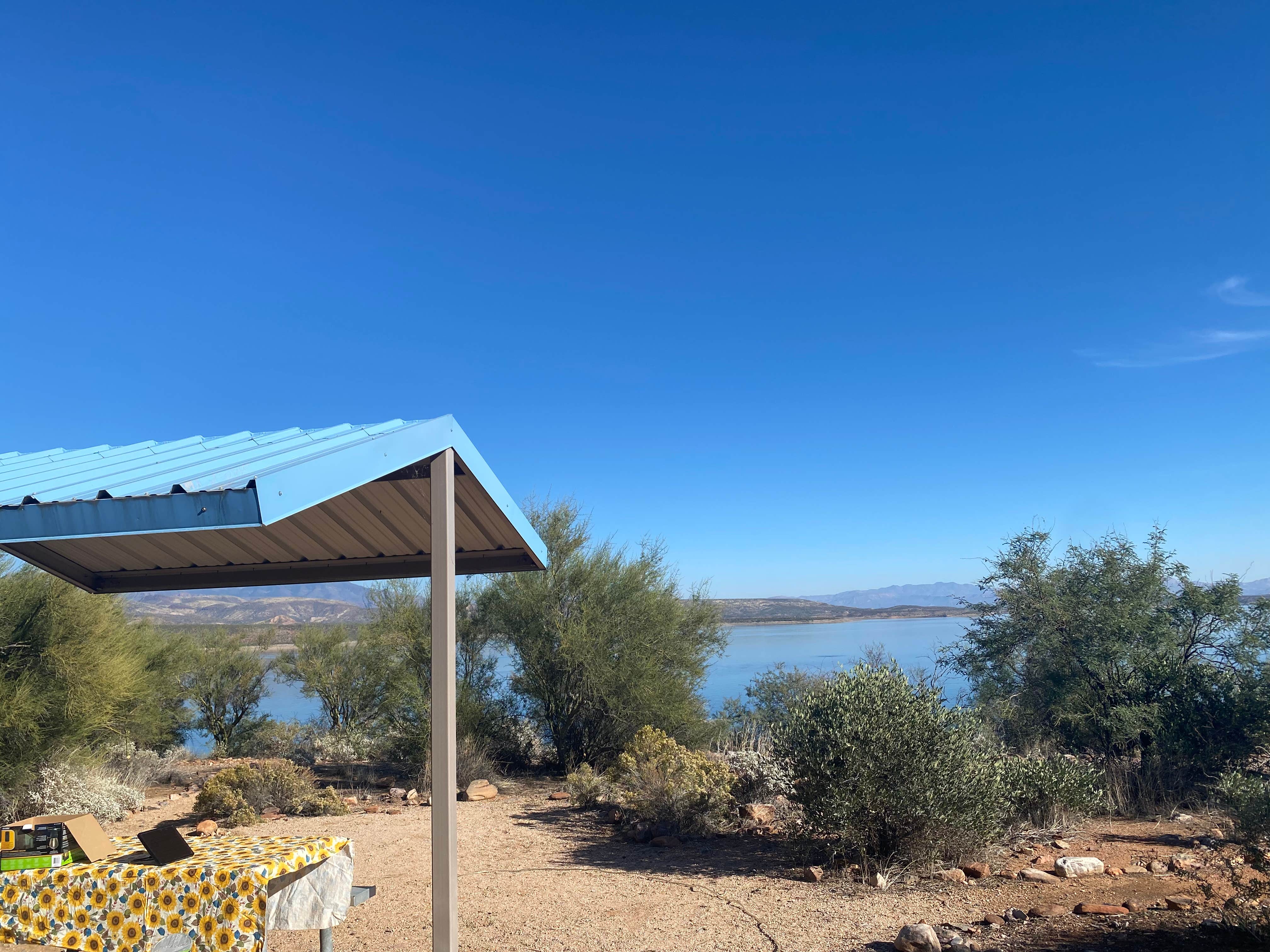 Camper submitted image from Roosevelt Lake - Cholla Campground - 4