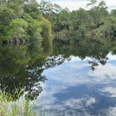 Review photo of Wekiwa Springs State Park Campground by Daniela P., November 6, 2021