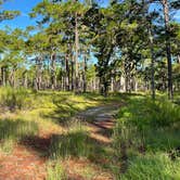 Review photo of Wekiwa Springs State Park Campground by Daniela P., November 6, 2021