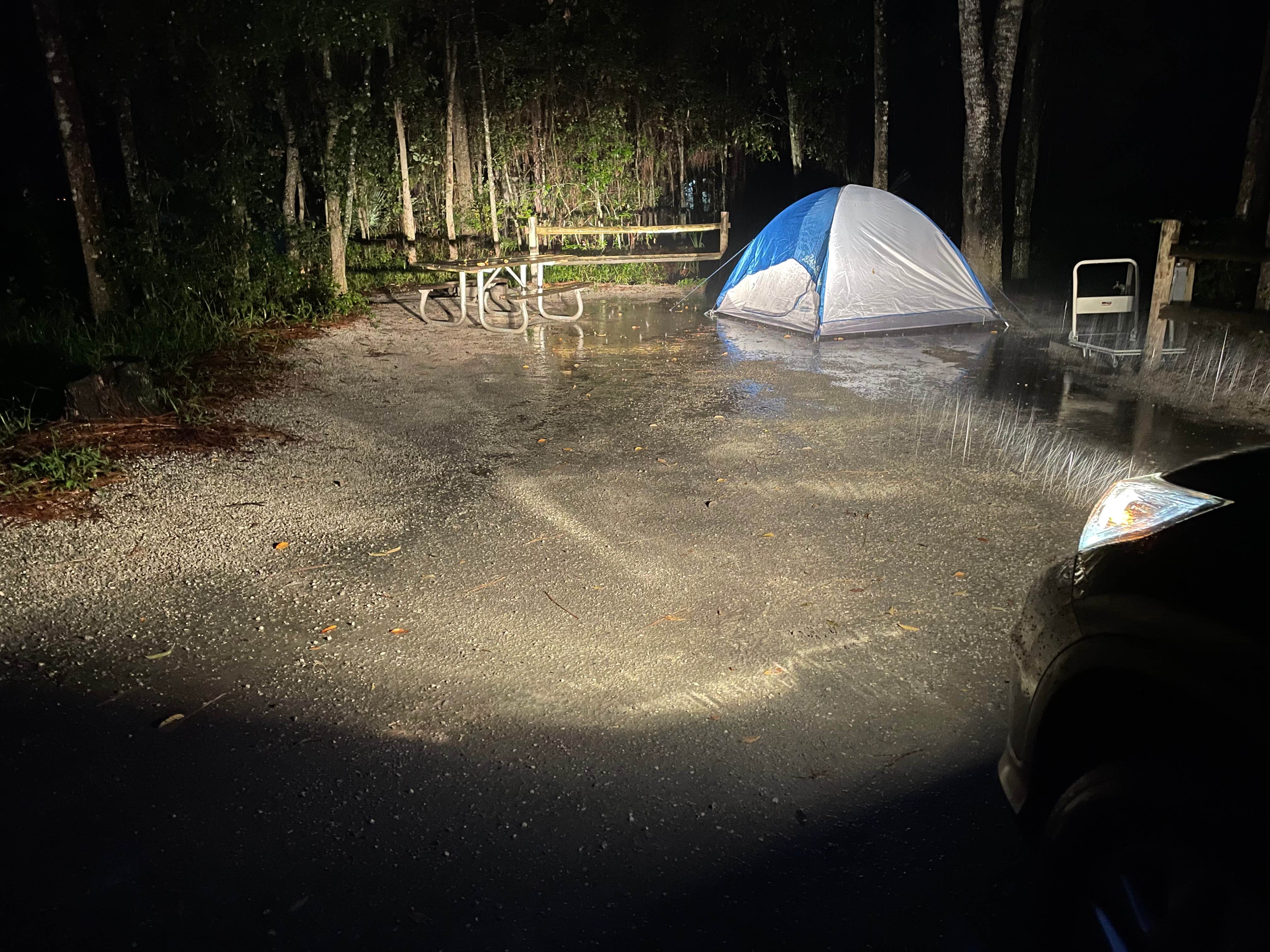 Daniela P.'s photo at Wekiwa Springs State Park Campground near Maitland, FL
