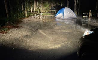 Daniela P.'s photo at Wekiwa Springs State Park Campground near Maitland, FL