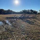 Review photo of LBJ National Grasslands Forest Road 904 Dispersed Camping by Joseph F., November 6, 2021