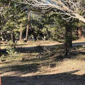 Review photo of Coconino Rim Road Dispersed Camping by Brady , November 6, 2021