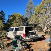 Review photo of Coconino Rim Road Dispersed Camping by Brady , November 6, 2021