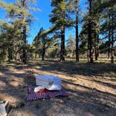 Review photo of Coconino Rim Road Dispersed Camping by Brady , November 6, 2021