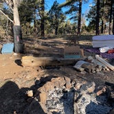 Review photo of Coconino Rim Road Dispersed Camping by Brady , November 6, 2021