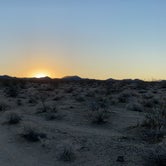 Review photo of 17 Mile Camp — Mojave National Preserve by ron , November 6, 2021