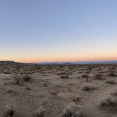 Review photo of Mojave National Preserve - 17 Mile Camp by ron , November 6, 2021