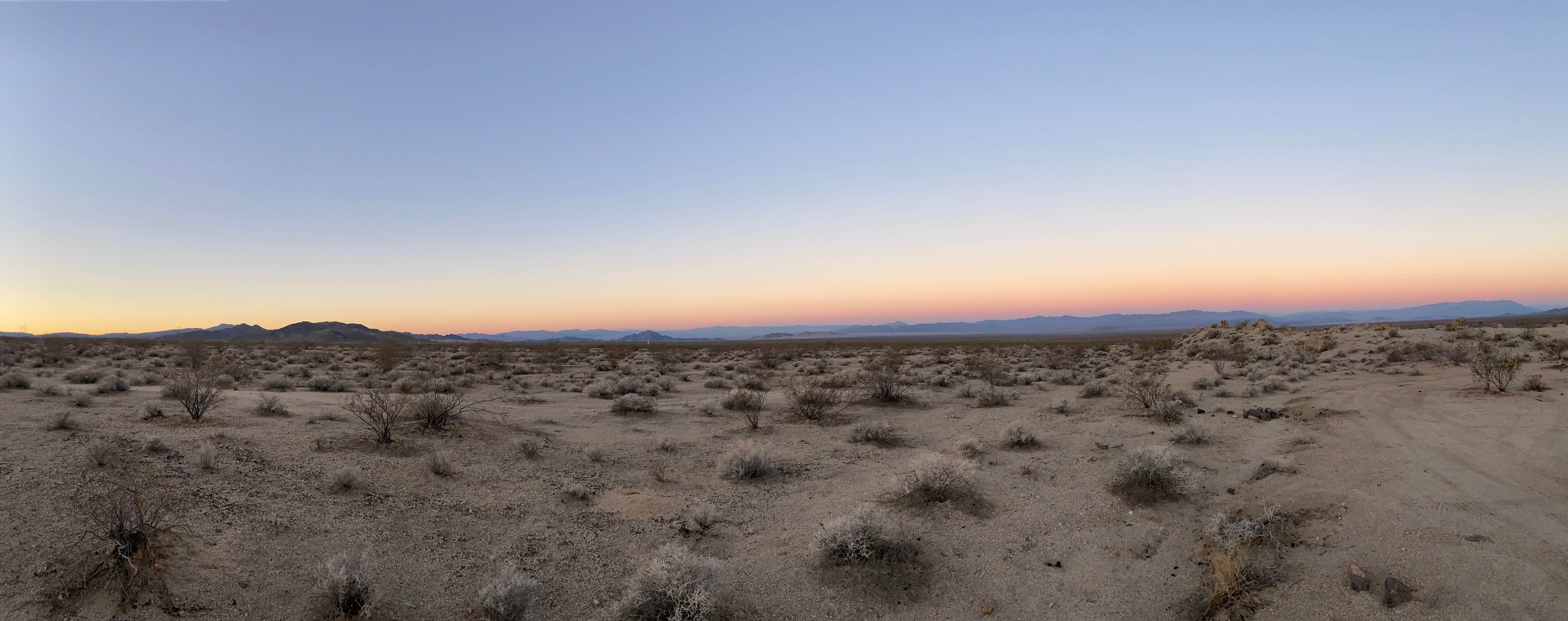 Camper submitted image from Mojave National Preserve - 17 Mile Camp - 1