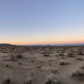Review photo of 17 Mile Camp — Mojave National Preserve by ron , November 6, 2021
