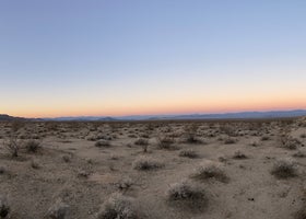 Mojave National Preserve - 17 Mile Camp