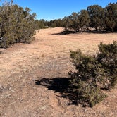 Review photo of Sante Fe National Forest BLM-Road 62 Dispersed by Loren A., November 6, 2021