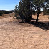 Review photo of Sante Fe National Forest BLM-Road 62 Dispersed by Loren A., November 6, 2021