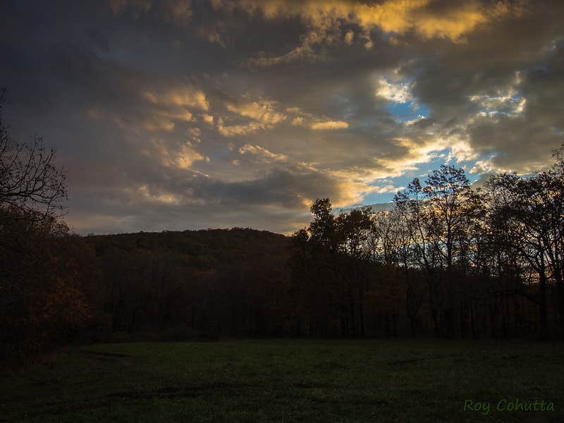 Roy B.'s photo of a dispersed camping area at Ball Field Dispersed Camping Area near White Oak, GA