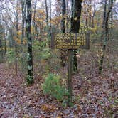 Review photo of Ball Field Dispersed Camping Area by Roy B., November 6, 2021