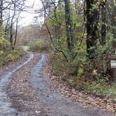 Review photo of Ball Field Dispersed Camping Area by Roy B., November 6, 2021