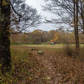 Review photo of Ball Field Dispersed Camping Area by Roy B., November 6, 2021
