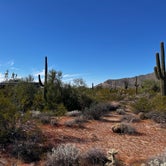 Review photo of Usery Mountain Regional Park by Holly E., November 5, 2021