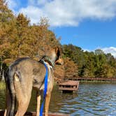 Review photo of Lake D'Arbonne State Park — New Lake D'arbonne State Park by Alayna J., November 6, 2021