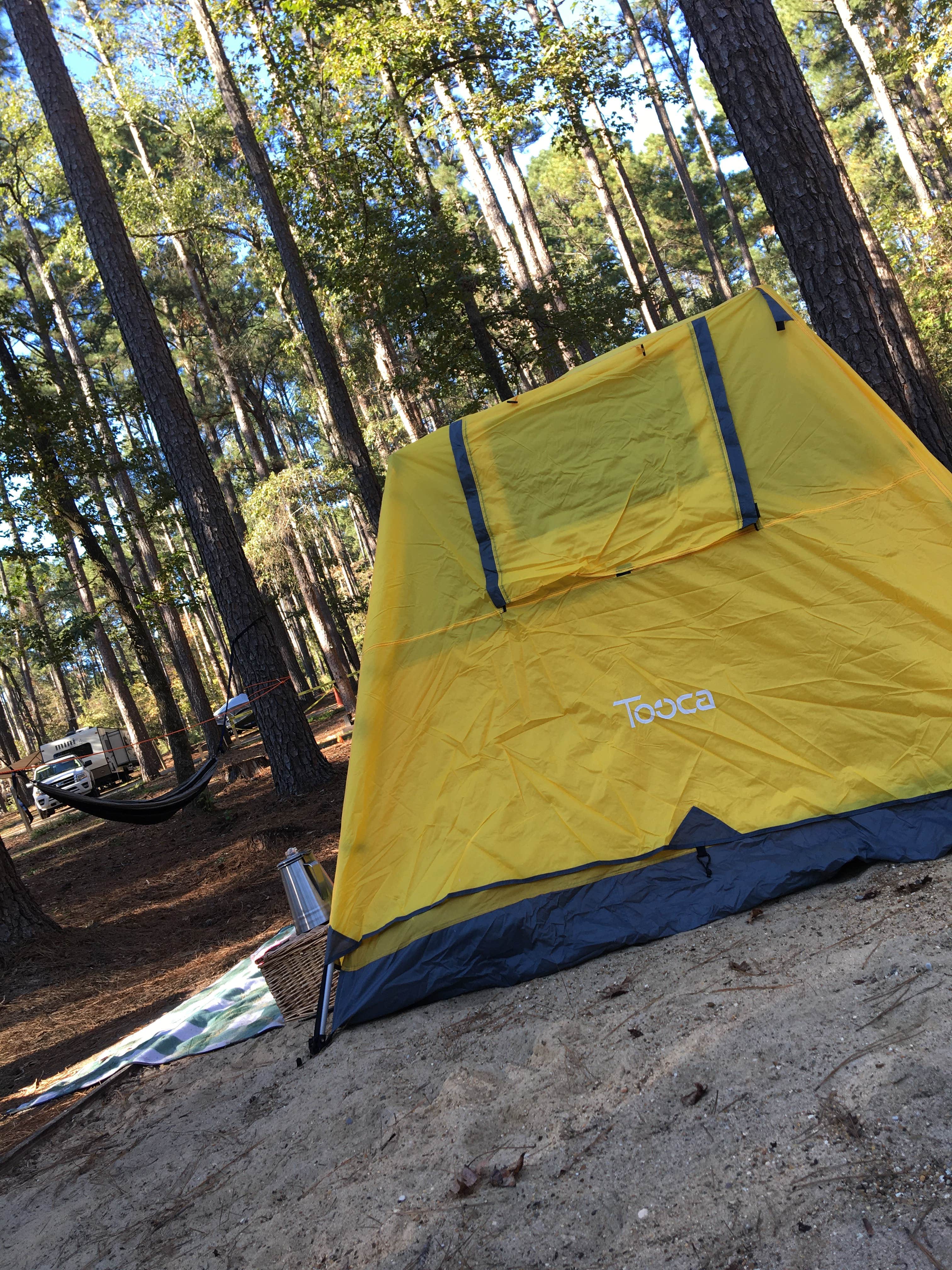 Alayna J.'s photo at Lake D'Arbonne State Park — New Lake D'arbonne State Park near Bernice, LA