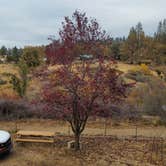 Review photo of Sequoia Mountain Farms by Eline V., November 6, 2021