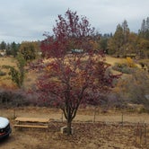 Review photo of Sequoia Mountain Farms by Eline V., November 6, 2021