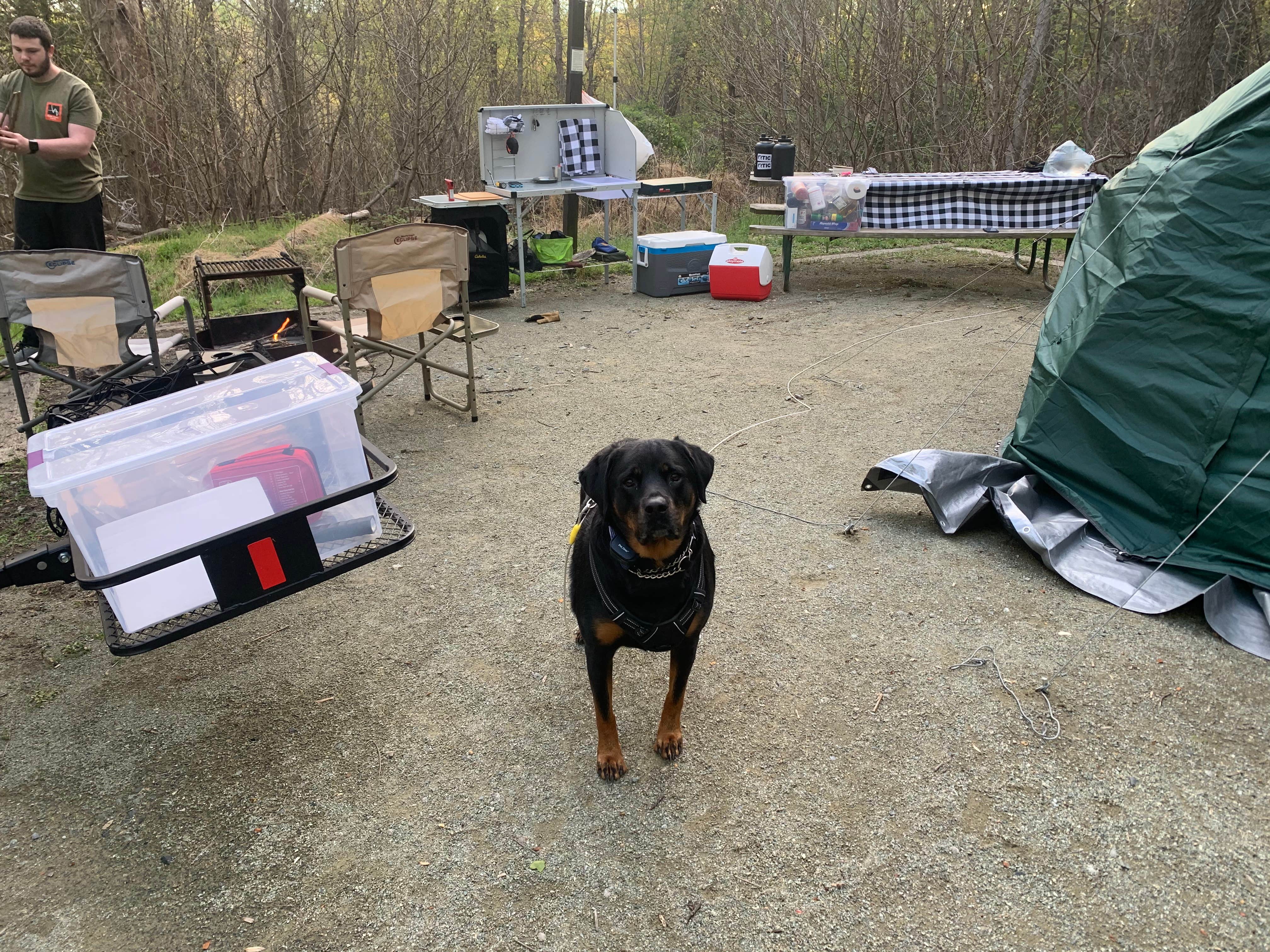 Sarah M.'s photo of camping with pets at Elk Neck State Park Campground near Wilmington, DE