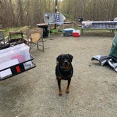Review photo of Elk Neck State Park Campground by Sarah M., November 6, 2021